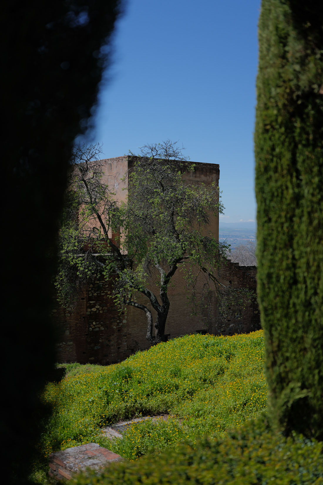 Granada, 2026